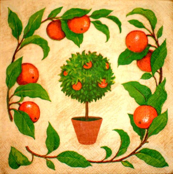 036 Zitronen, Orangen - 3-lagig